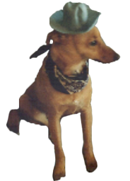Tippy Grossart