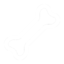 Bone